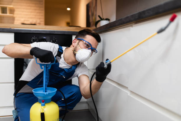 Best Commercial Pest Control Services  in Nederland, CO