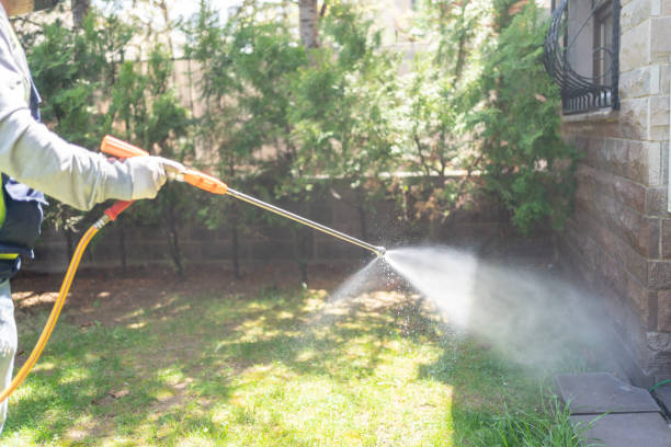 Best Affordable Pest Control Services  in Nederland, CO