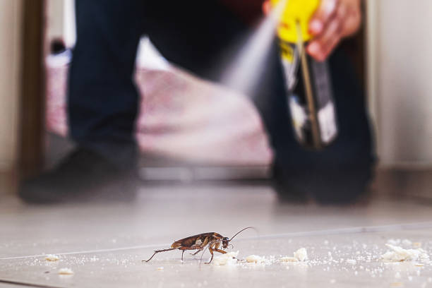 Best Best Pest Control Companies  in Nederland, CO