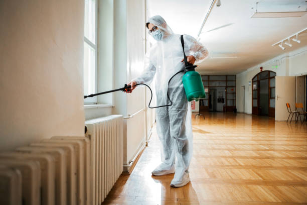 Best Pest Removal Services  in Nederland, CO